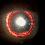 ДАЛ ДАЛ УШЕЛ