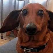 евгений мохито