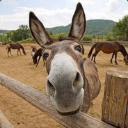 骑着毛驴去香格里拉