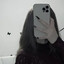 Shine