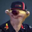 DUDUDUDU MAX VERSTAPPEN