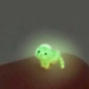 水上漂的无私牛