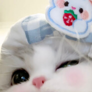 老铁我快碎掉了