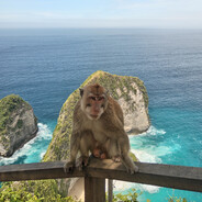 ДЖЕК_ВОРОБЕЙ