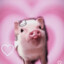 Kawaii Pig