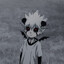 Kruasan