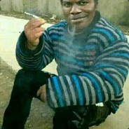 大山雀摧毁小猫咪