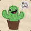 Cactus Arcady