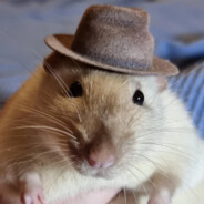 детектив дима