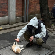 𝑹𝒆𝒄𝒌𝒍𝒆𝒔𝒔