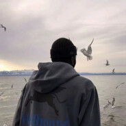 20岁高冷男明星