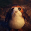 Porg