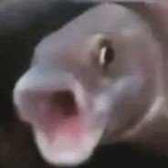 Poggers Fish