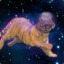 Space Tiger