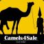 Camels4Sale