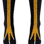 chikensocks