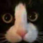 我连备胎都不是 却包容你的放肆