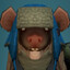 Rat