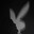 Bad Bunny  skins.army
