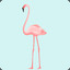 [fll.fi] Flamingo