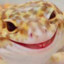 Don_Geckon