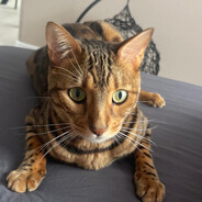 〄 Ĝ҉Ǻ҉ Ӎ҉ Ế҉Ʀ - steam id 76561198088182640