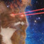 PetTheKitty