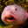 Blobfish
