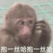 满山猴子我腚最红