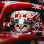 Ciallo～(∠・ω< )⌒★