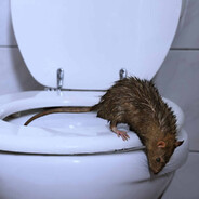Unflushed Rat