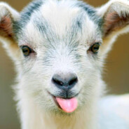 67 EEEEEEEEEEEEEEEEEEEEEEEEEEE67