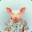 Pig_Maroto