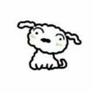 重庆第一深情//.