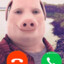 John Pork is calling...