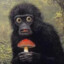 Monkey#1