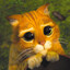 Please forgive me?