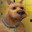 Scoob's Avatar