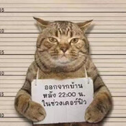 这不再睡一节课？