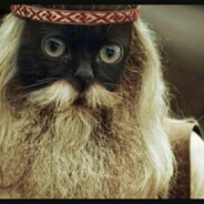 ВИКТОР-КОРНЕПЛОД