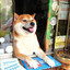 Perro kioskero (no se fia)