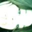 horosheenastroenie