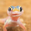 Gecko