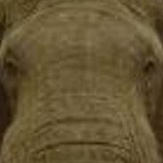 bindydaddy69's avatar