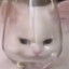 Nn