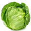 Cabbage