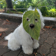 Dog With A Leaf Mask
