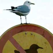 去码头搞点薯条