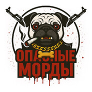 opasnyemordyshiz## - steam id 76561198453220102