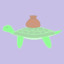 Sandbag Turtle